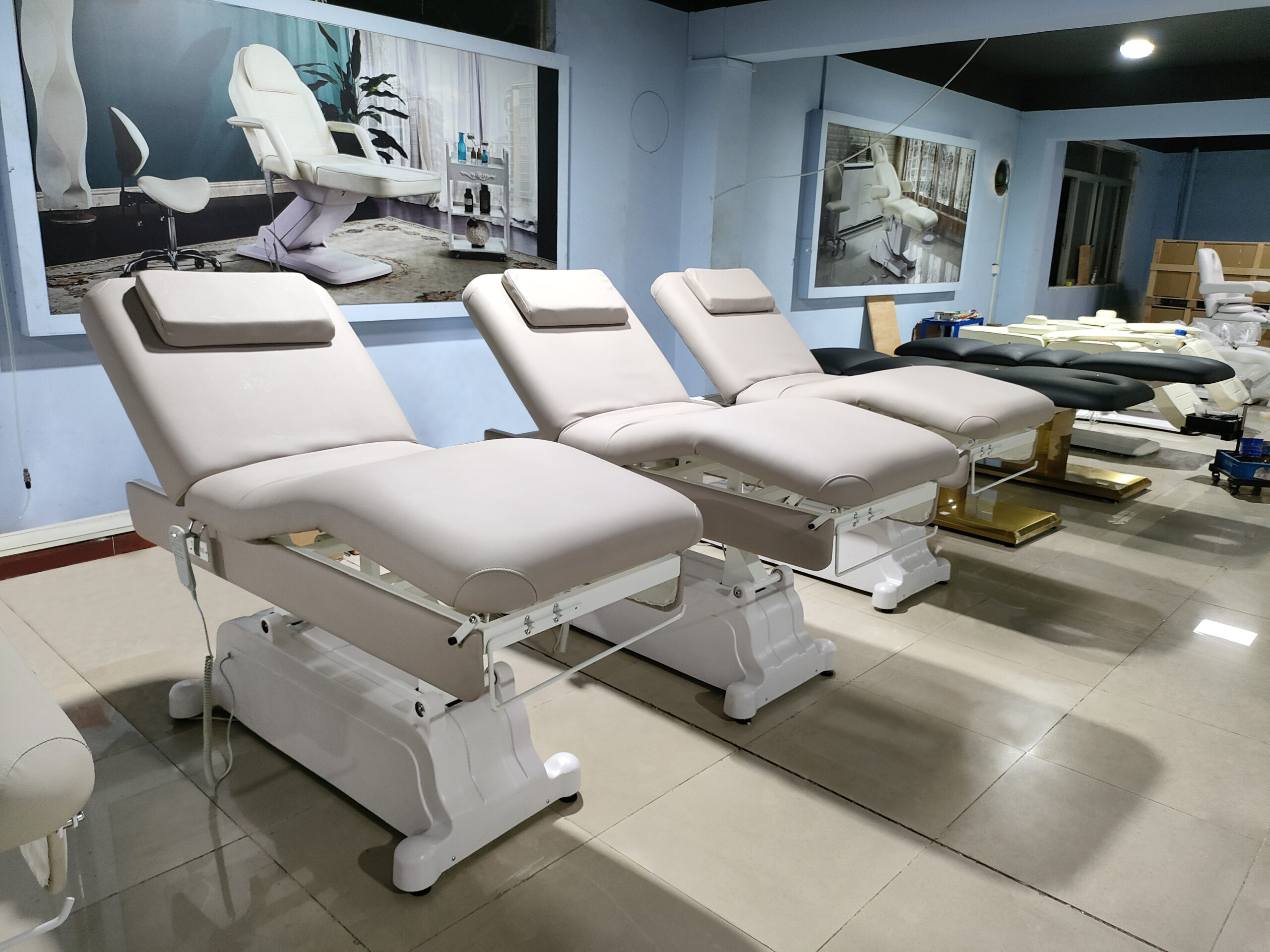 Manufacturer of Electric Massage Bed