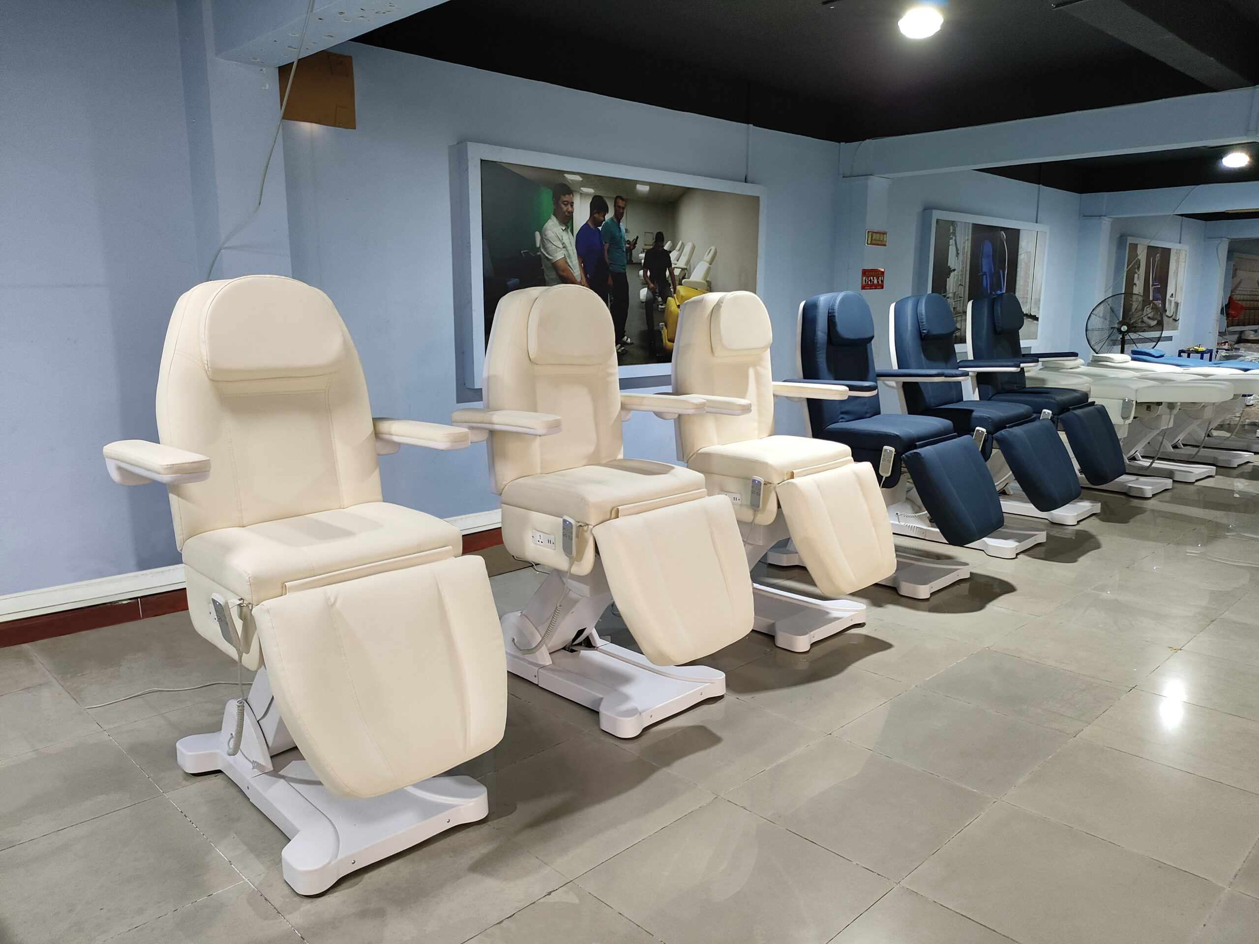 Manufacturer of Electric Beauty Bed